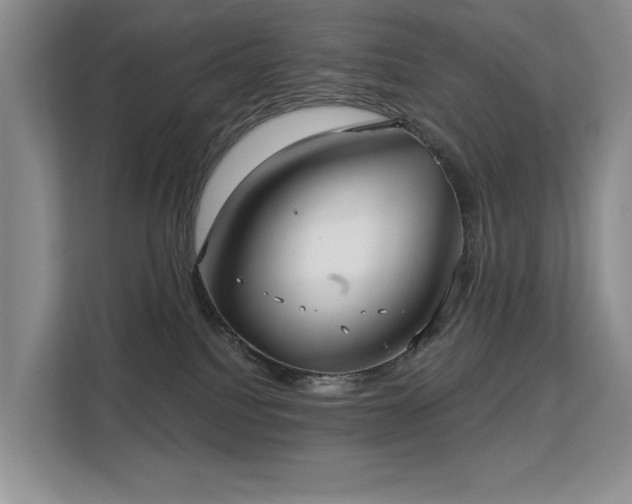 X0000113130088200909110922