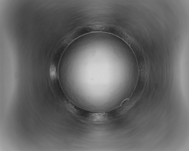 X0000113130089200909110922