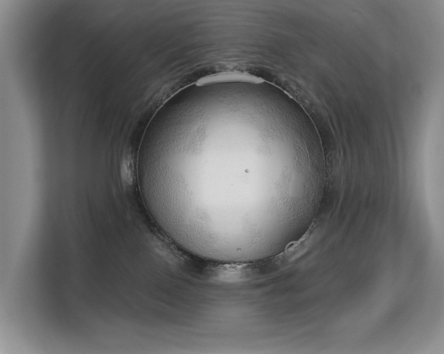 X0000113130090200909110922