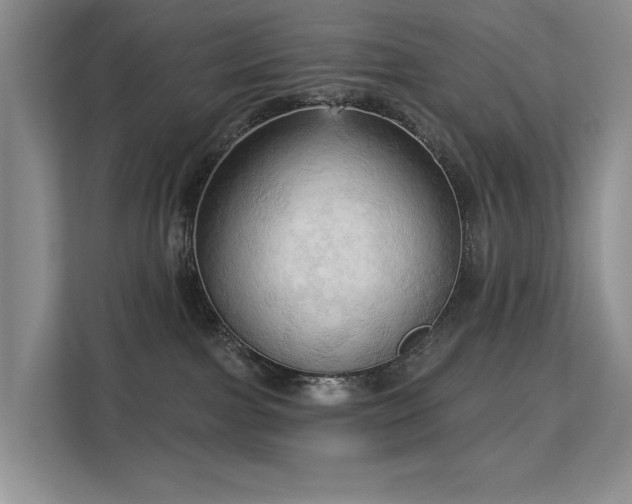 X0000113130091200909110922