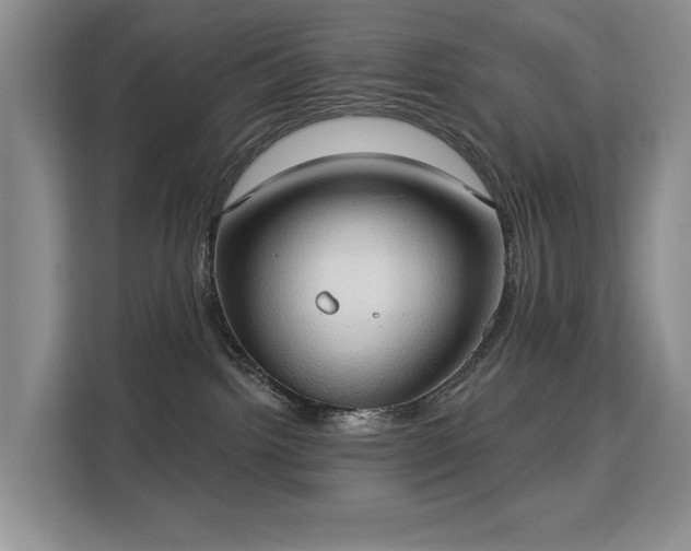 X0000113130092200909110922