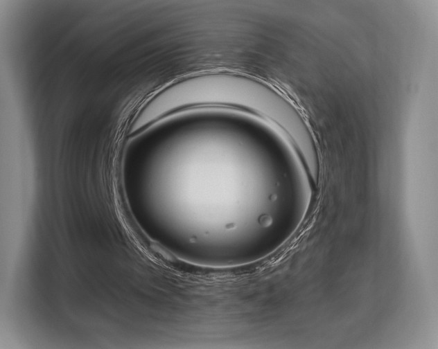 X0000113130097200909110922