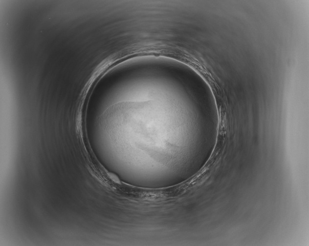 X0000113130099200909110922