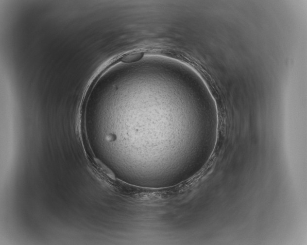 X0000113130100200909110922