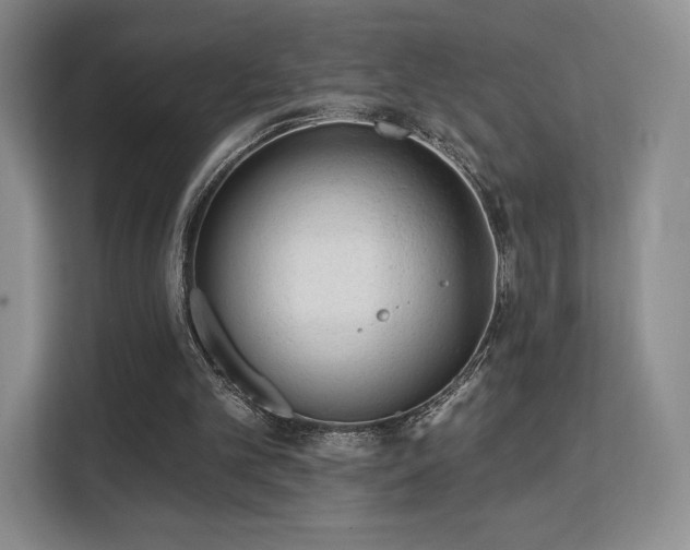 X0000113130101200909110922