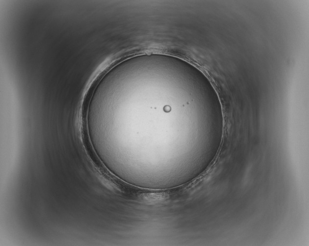 X0000113130102200909110922