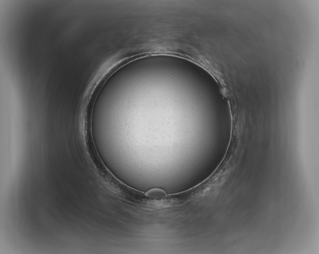 X0000113130103200909110922