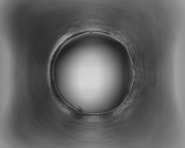 X0000113130104200909110922