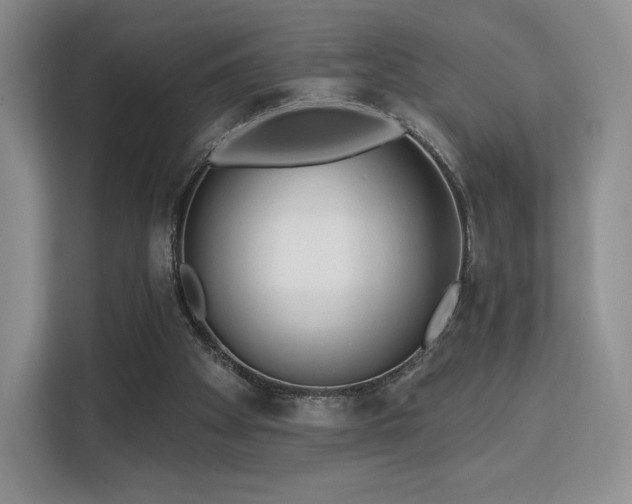 X0000113130105200909110922