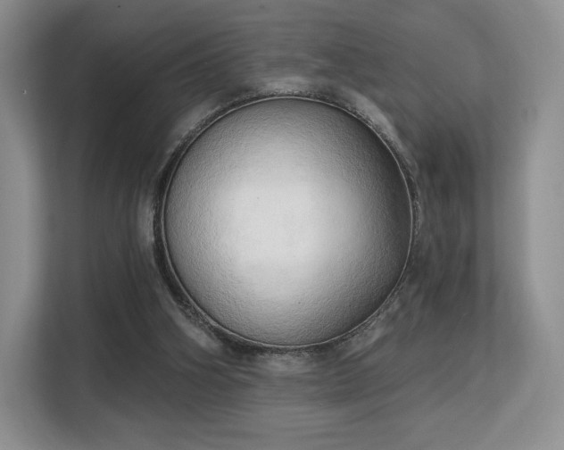 X0000113130106200909110922