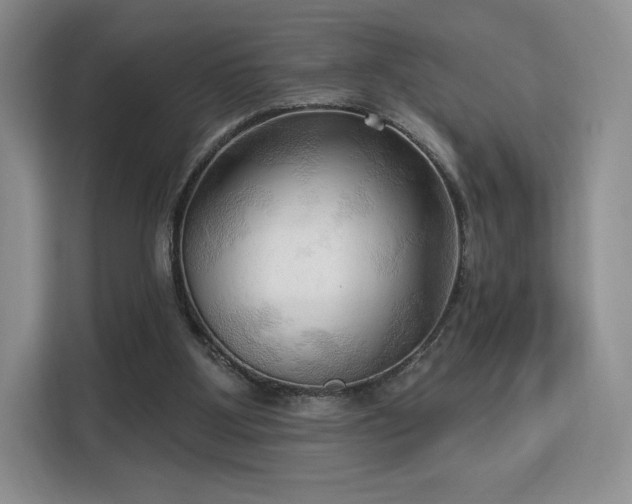 X0000113130107200909110922