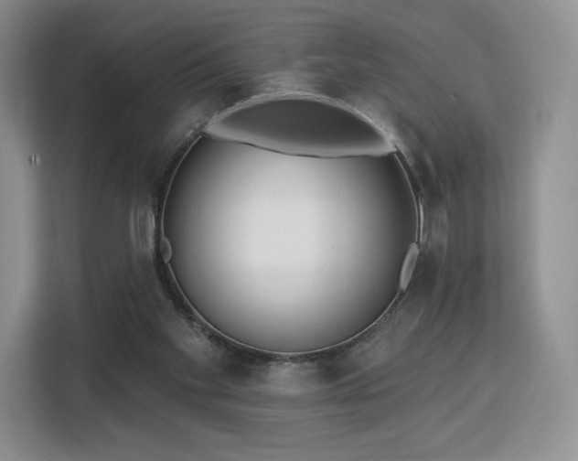 X0000113130109200909110922