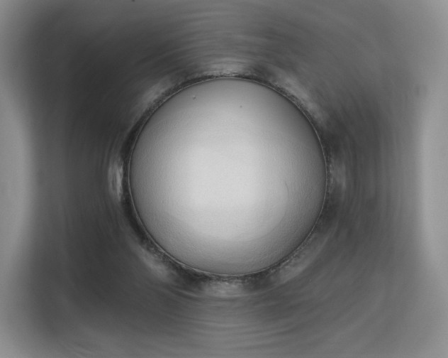 X0000113130110200909110922