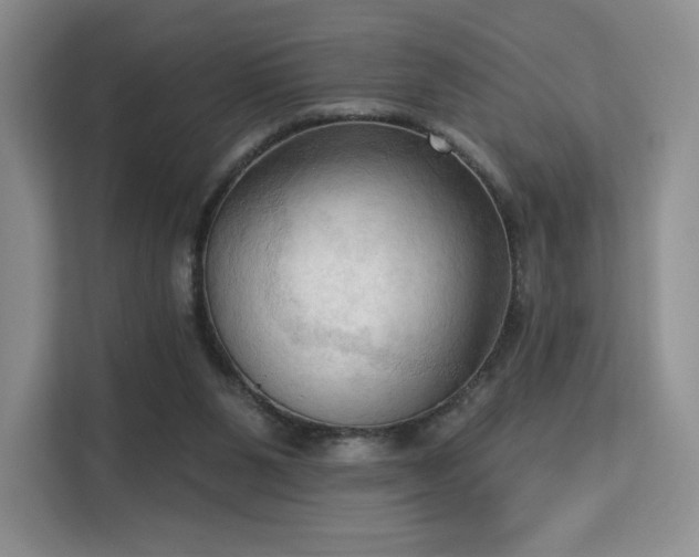 X0000113130111200909110922