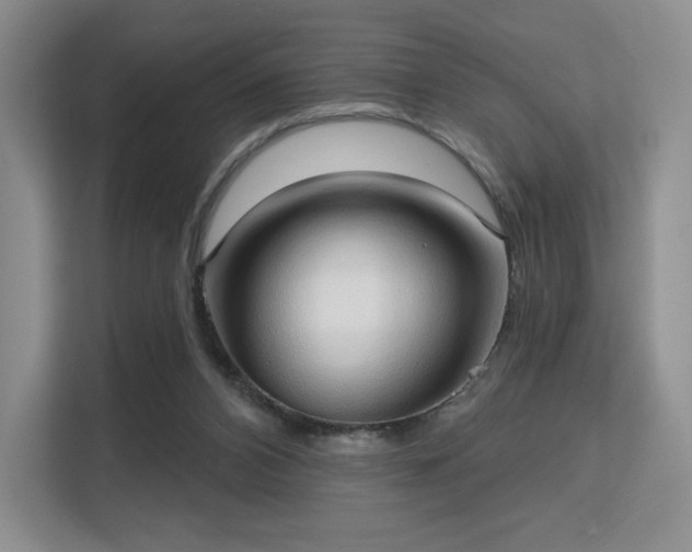 X0000113130112200909110922