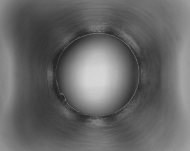 X0000113130113200909110922