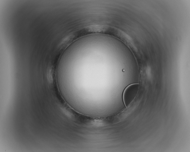 X0000113130114200909110922