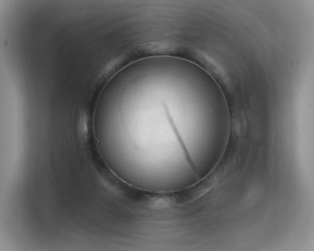 X0000113130115200909110922