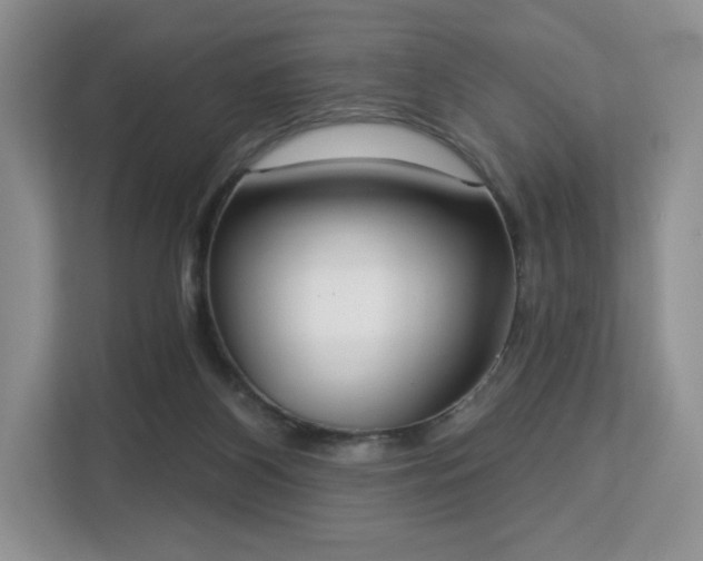 X0000113130116200909110922