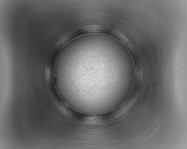 X0000113130117200909110922