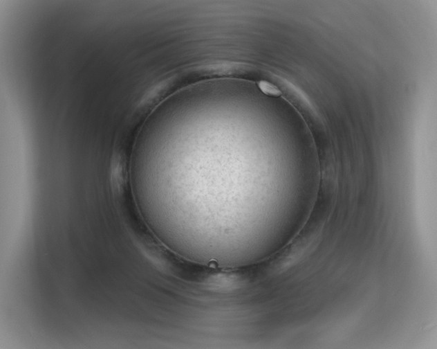 X0000113130119200909110922