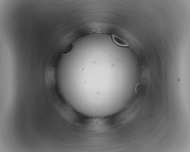 X0000113130121200909110922