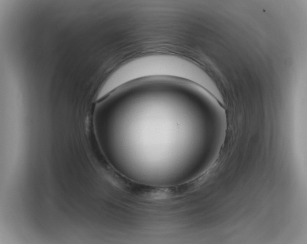 X0000113130124200909110921