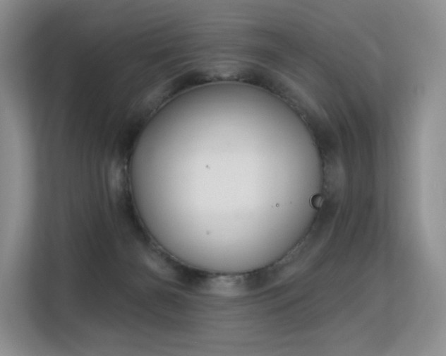 X0000113130126200909110921