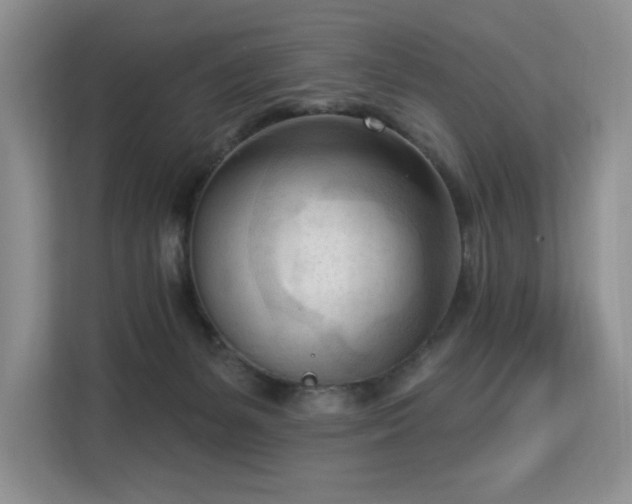 X0000113130127200909110921