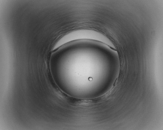 X0000113130128200909110921