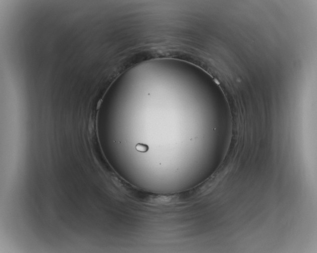 X0000113130129200909110921