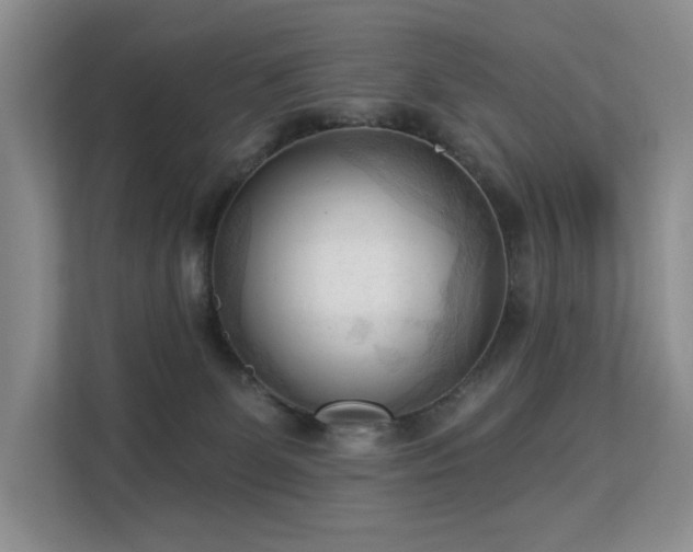 X0000113130131200909110921