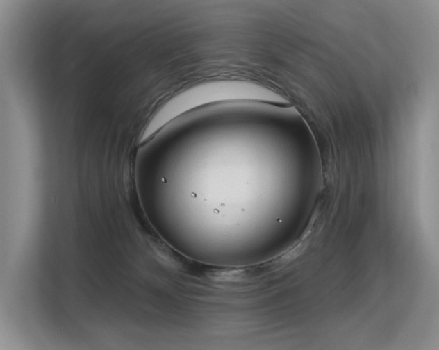 X0000113130132200909110921