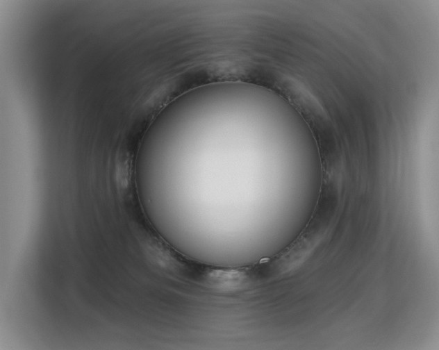 X0000113130133200909110921