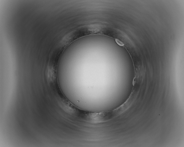 X0000113130136200909110921