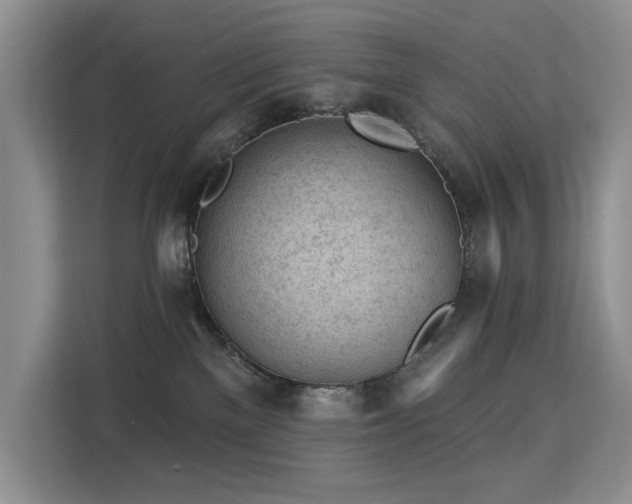 X0000113130137200909110921