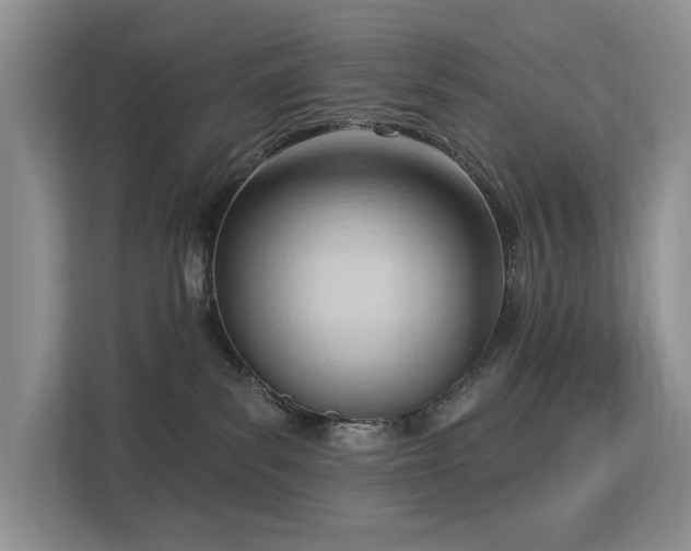 X0000113130139200909110921