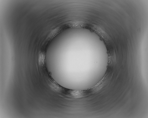 X0000113130142200909110921