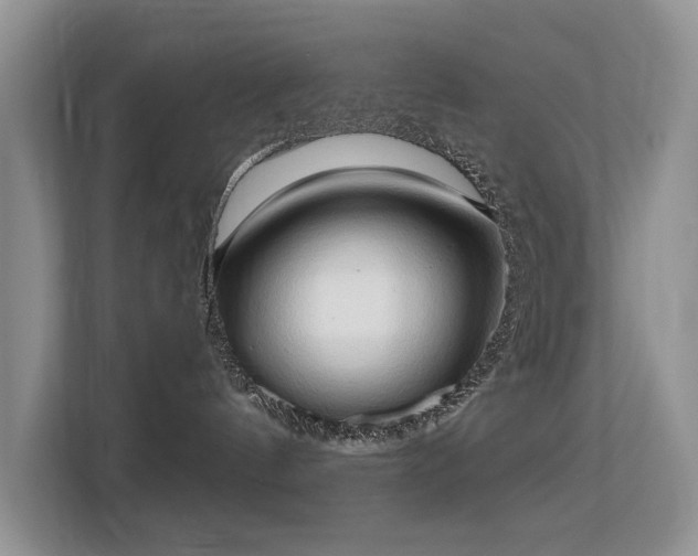 X0000113130144200909110921