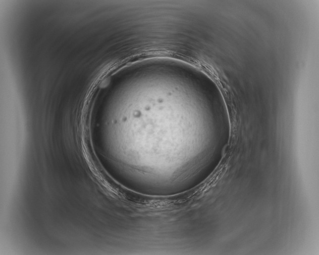 X0000113130145200909110921