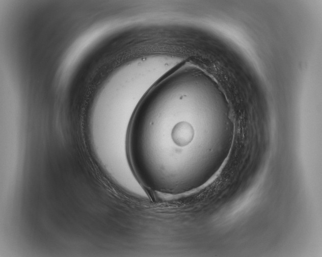 X0000113130146200909110921