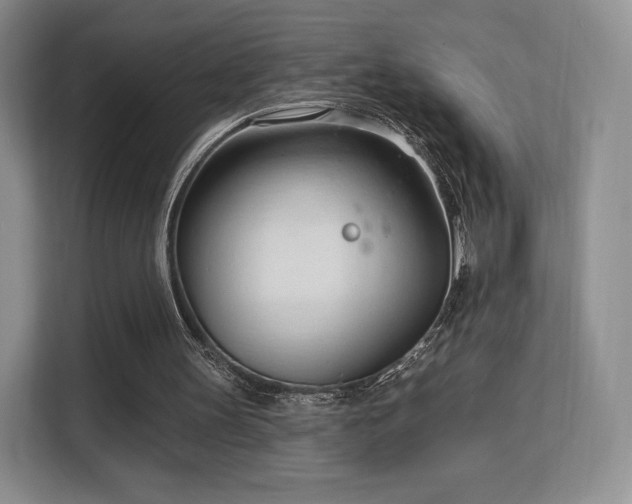 X0000113130147200909110921