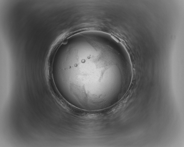 X0000113130149200909110921