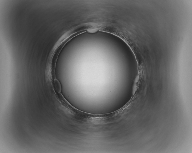 X0000113130150200909110921