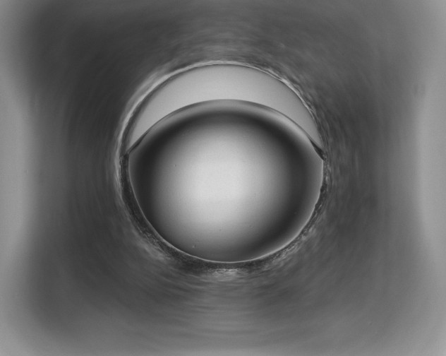 X0000113130152200909110921