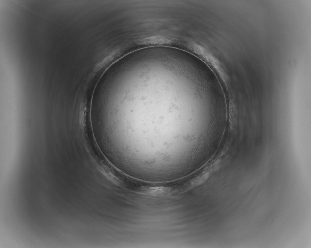 X0000113130153200909110921