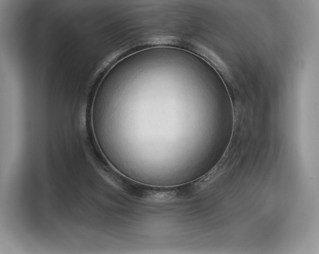 X0000113130155200909110921