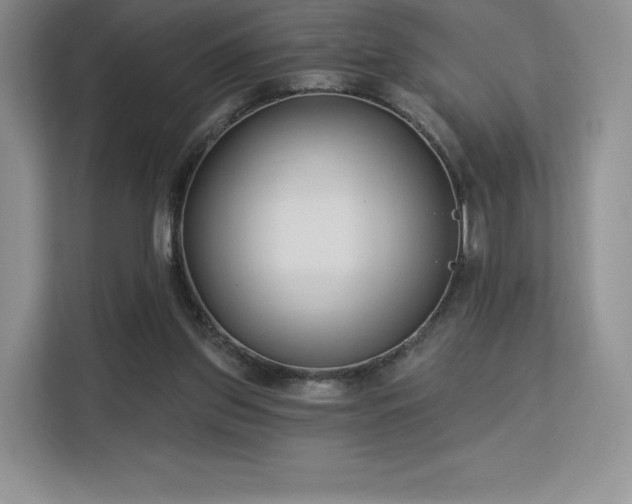 X0000113130157200909110921