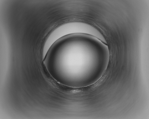 X0000113130158200909110921