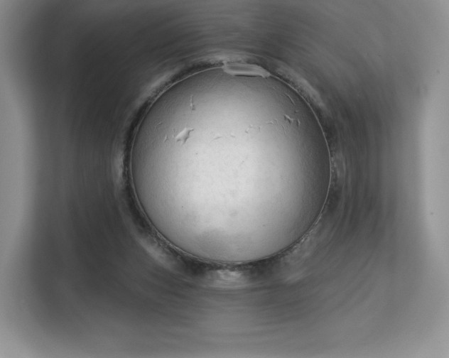 X0000113130159200909110921